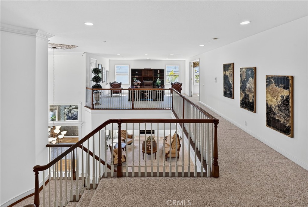 17265 BLUE SPRUCE