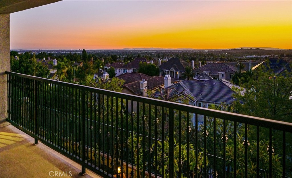 17265 BLUE SPRUCE