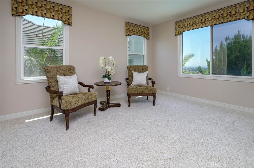 17265 BLUE SPRUCE
