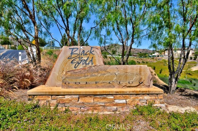 17265 BLUE SPRUCE