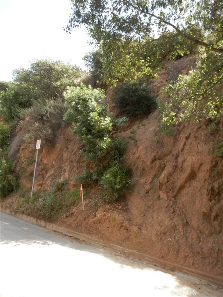 A Wildwood