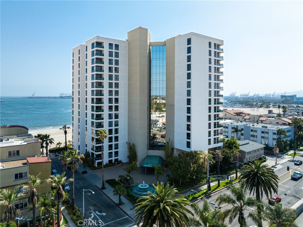 1310 E. Ocean Blvd. 1604