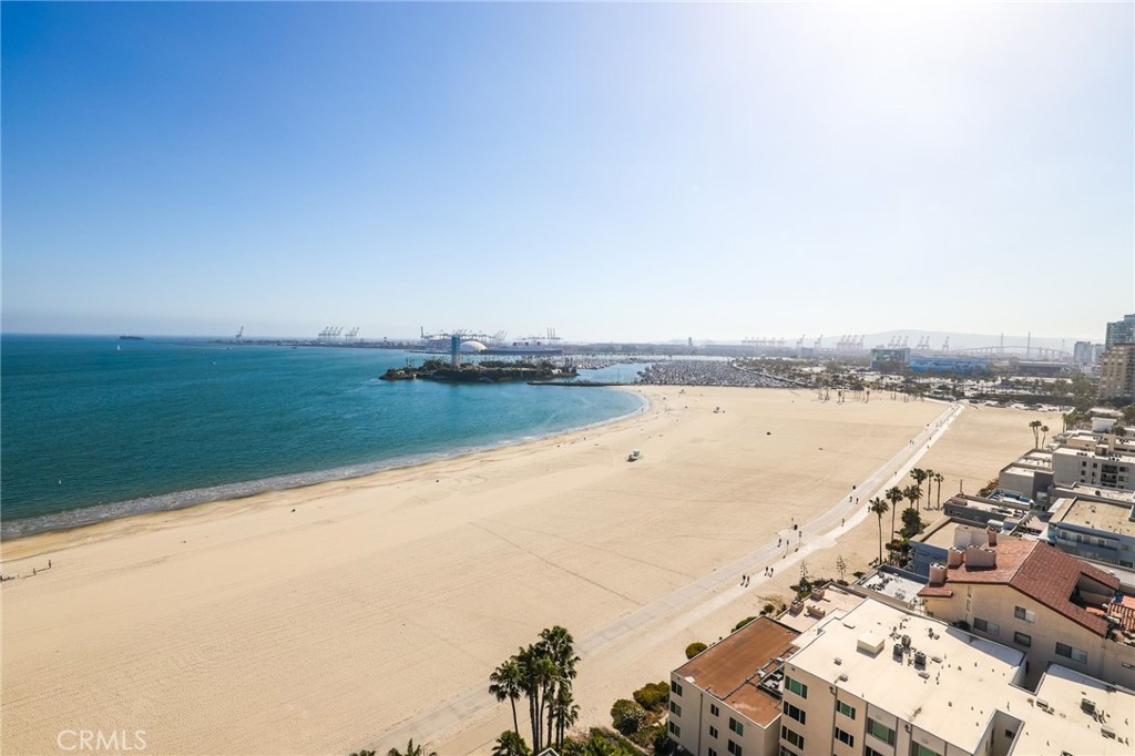 1310 E. Ocean Blvd. 1604