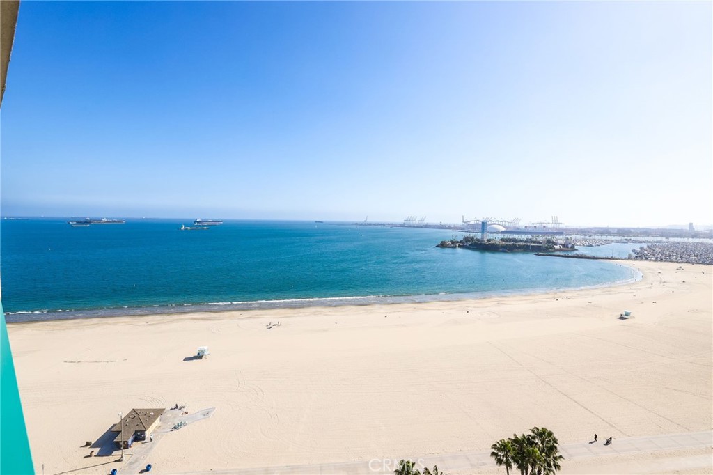 1310 E. Ocean Blvd. 1604