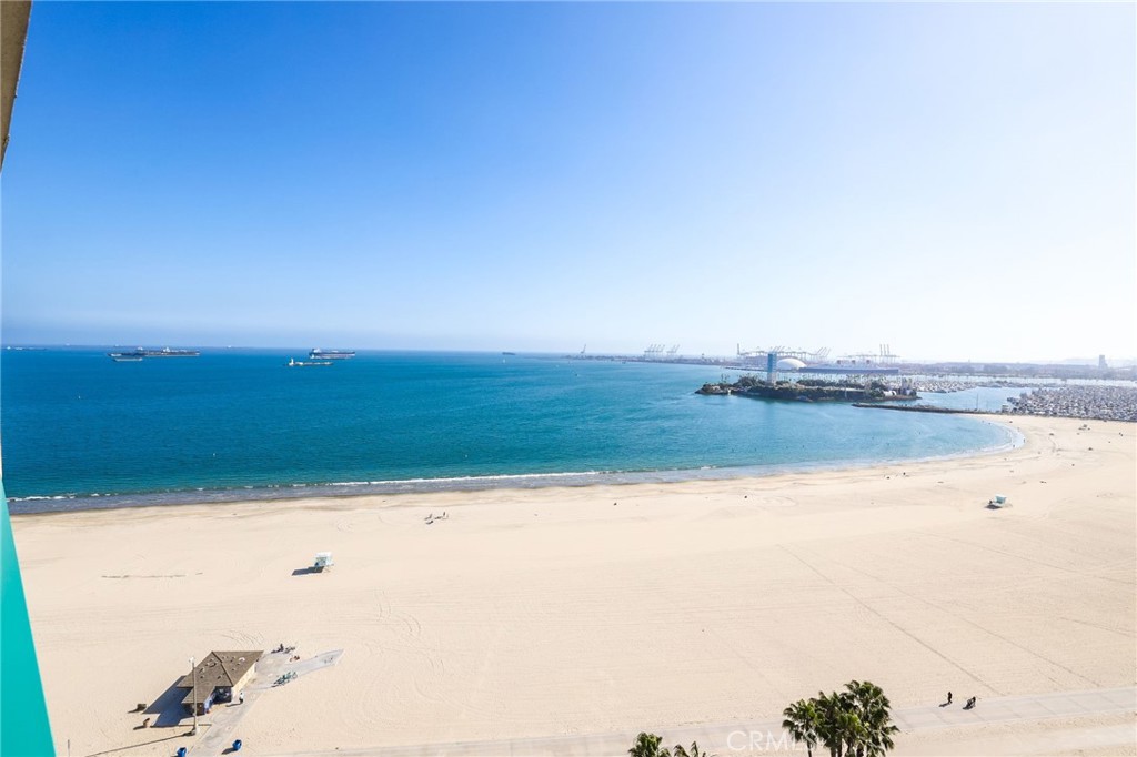 1310 E. Ocean Blvd. 1604