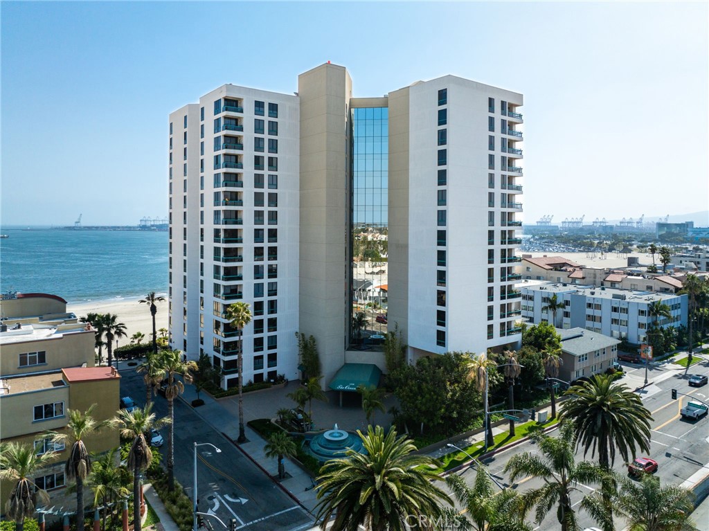 1310 E. Ocean Blvd. 1604