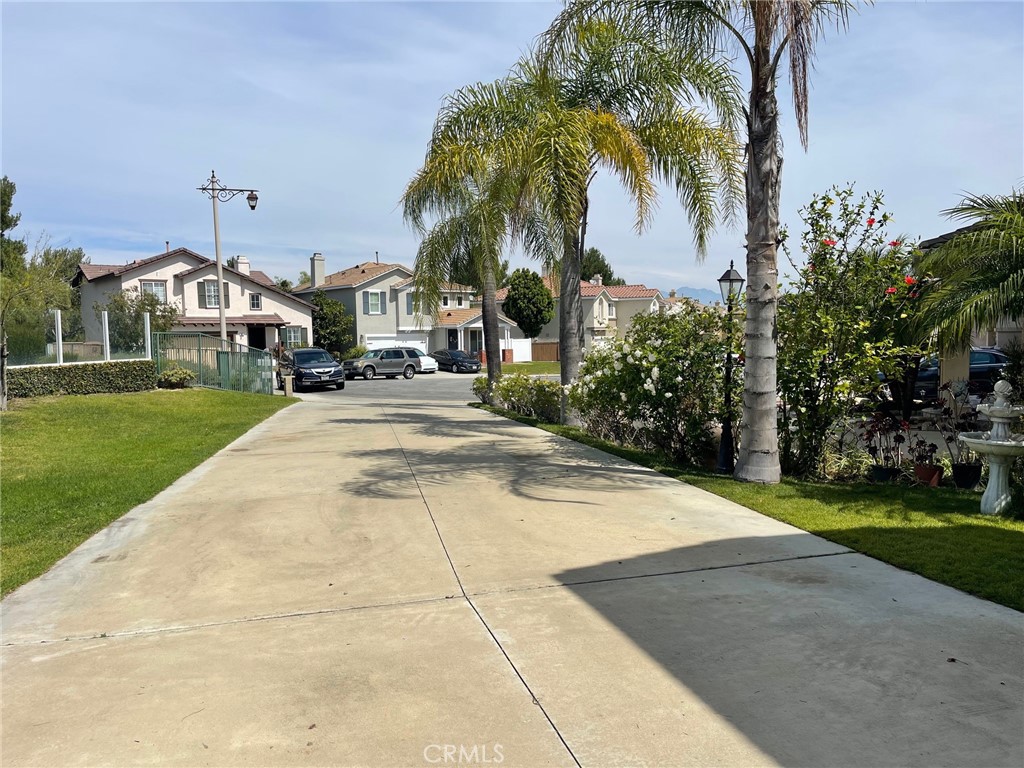 1294 S Springwood