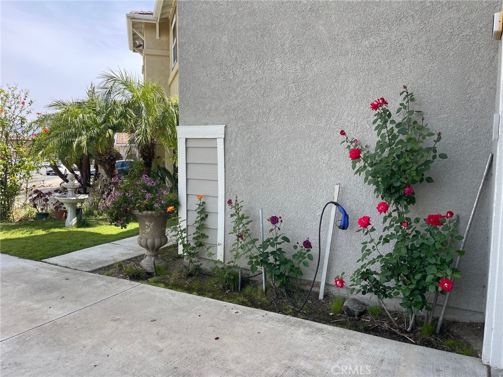 1294 S Springwood