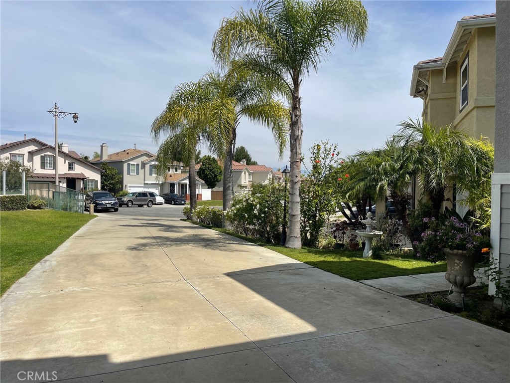 1294 S Springwood