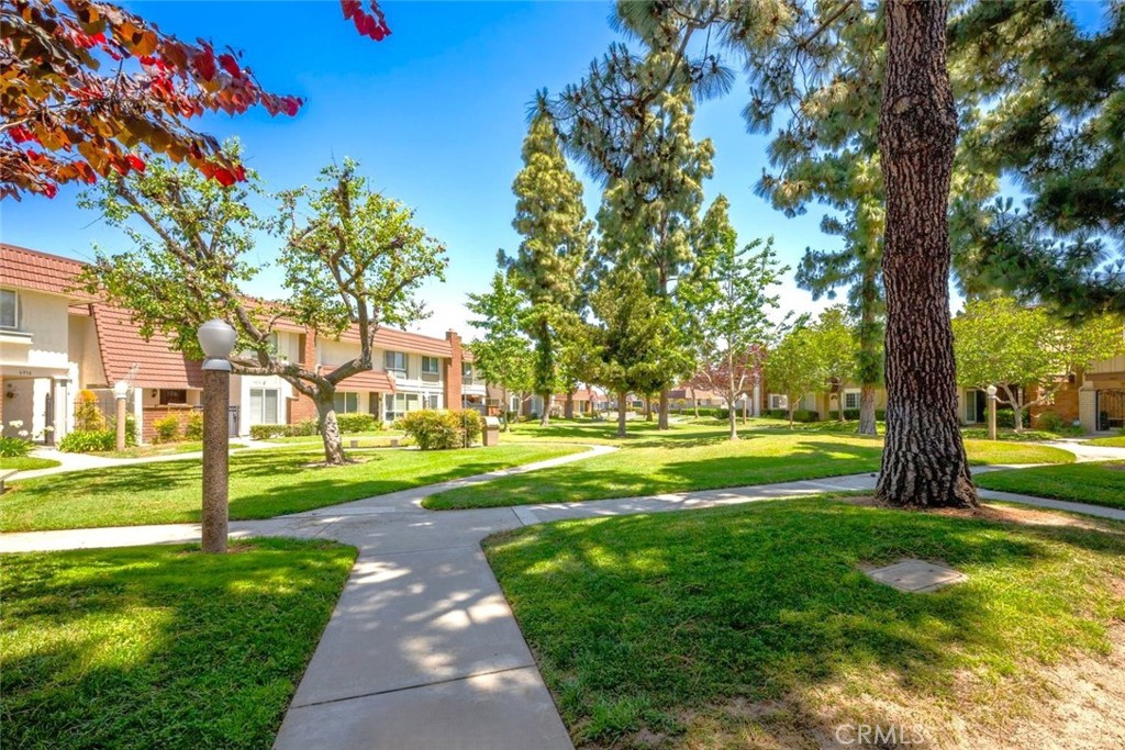 6909 Andrew Way