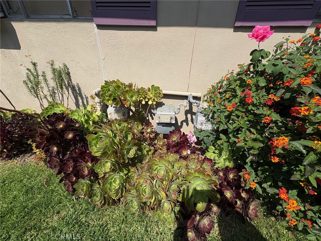 1908 E Rose Avenue