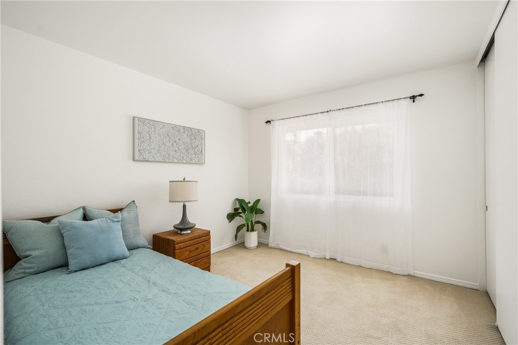 26511 Mimosa
