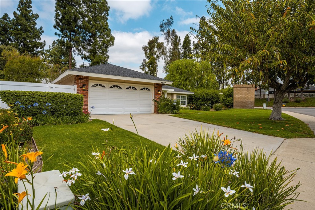 4907 Avenida De Las Estrellas