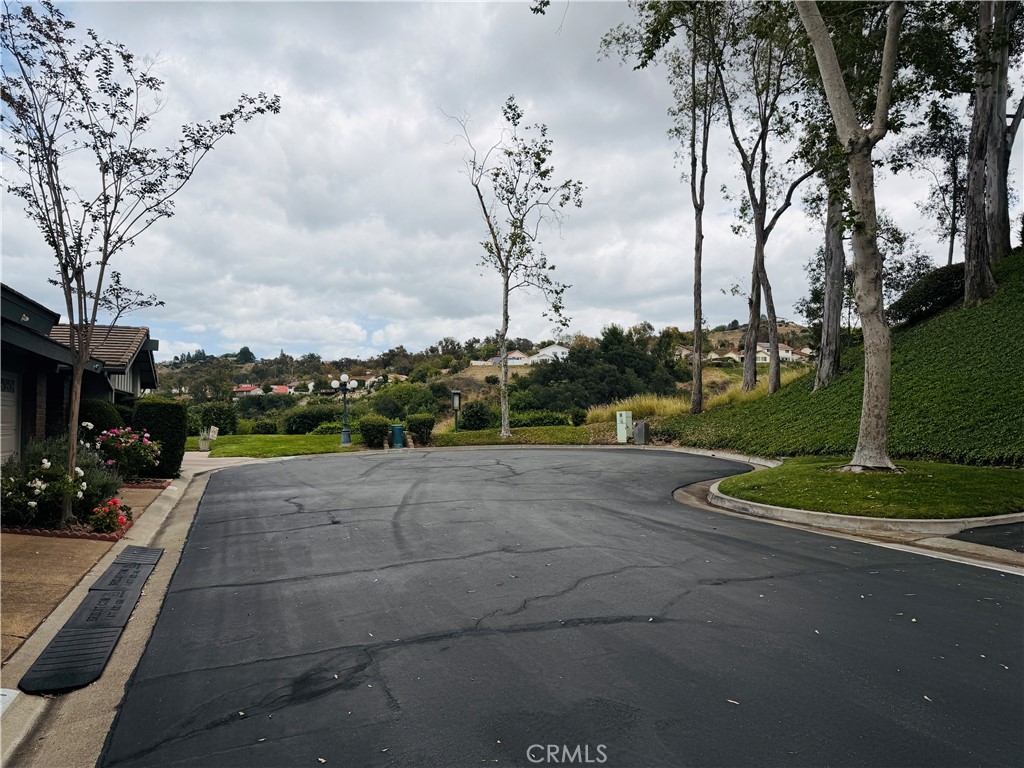 6541 E Paseo Goya