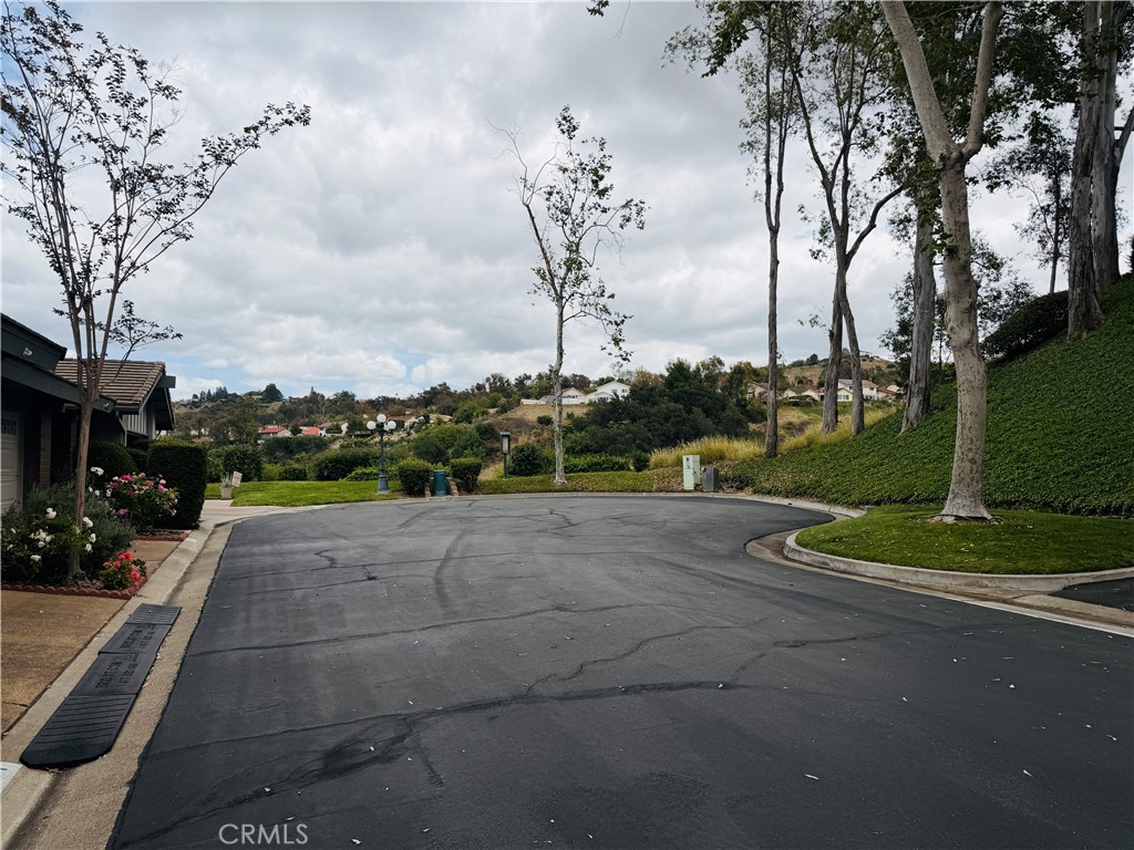 6541 E Paseo Goya