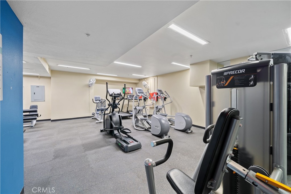 445 Island Avenue 501