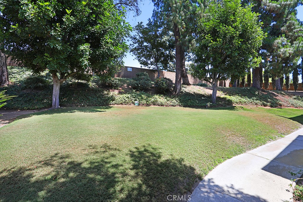 4788 Lakeview