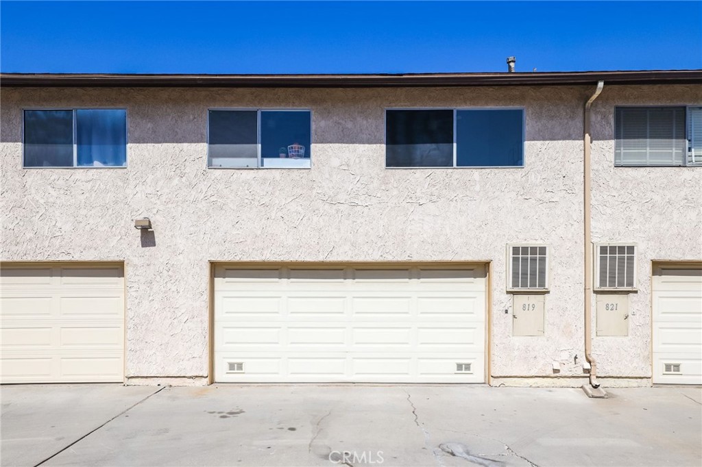 819 Coriander