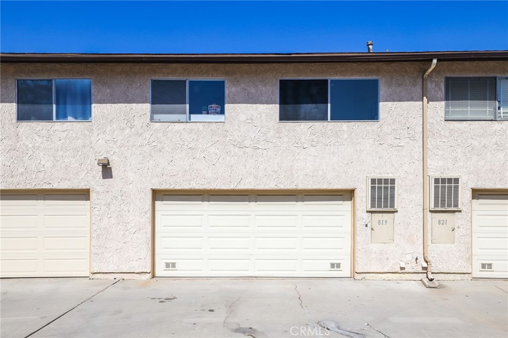819 Coriander
