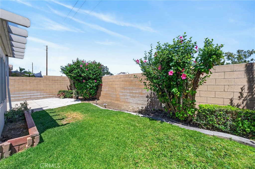 7491 Bear Creek