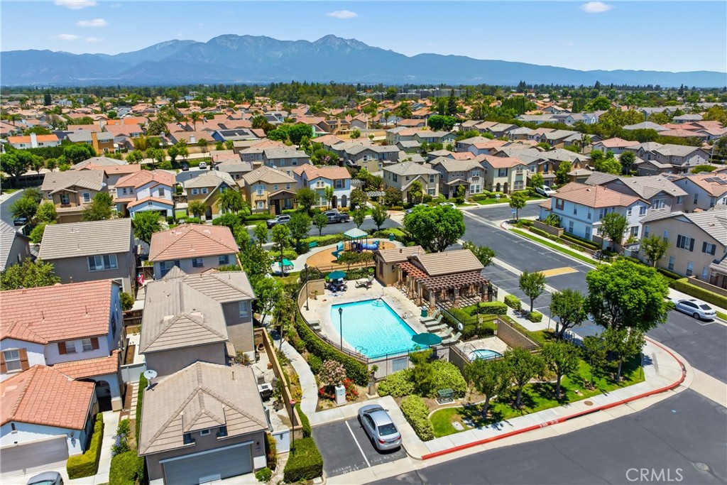 12827 Sunrose Court