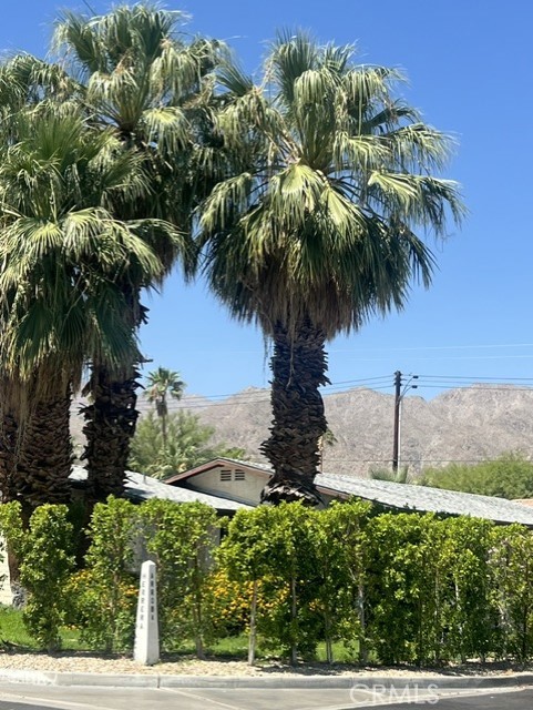 53771 Avenida Herrera