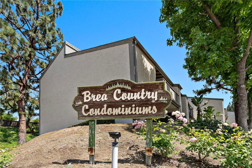 1665 Brea