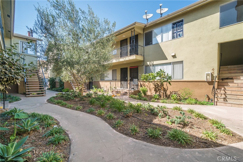 2309 Cedar