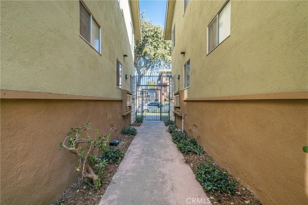 2309 Cedar