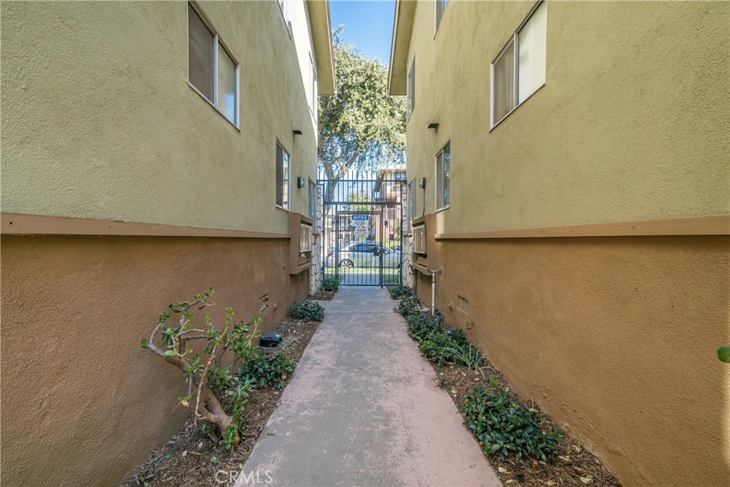 2309 Cedar