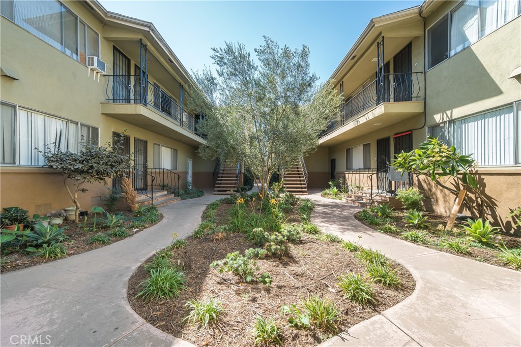 2309 Cedar