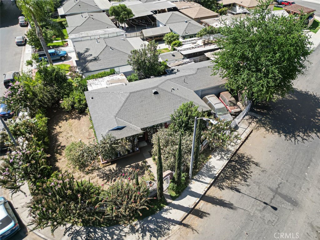 12454 Famosa