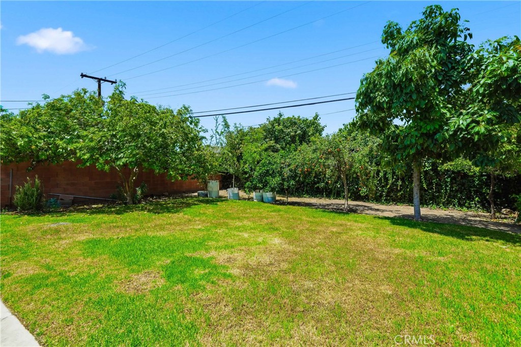 1015 W 5th