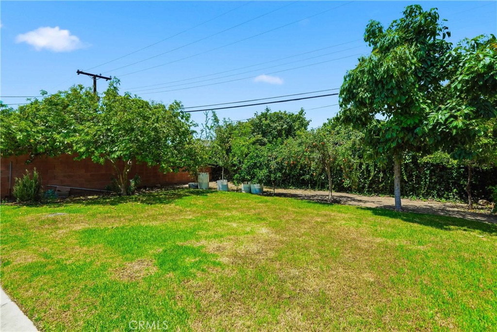 1015 W 5th