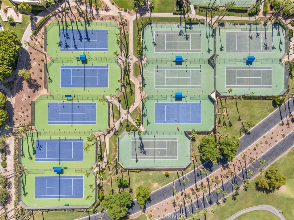 76037 Impatiens