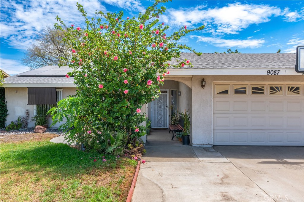 9087 Rosecrest