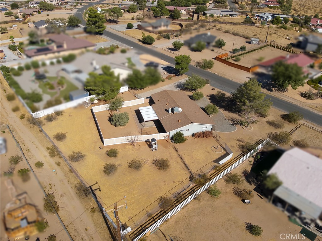 16248 Saint Timothy