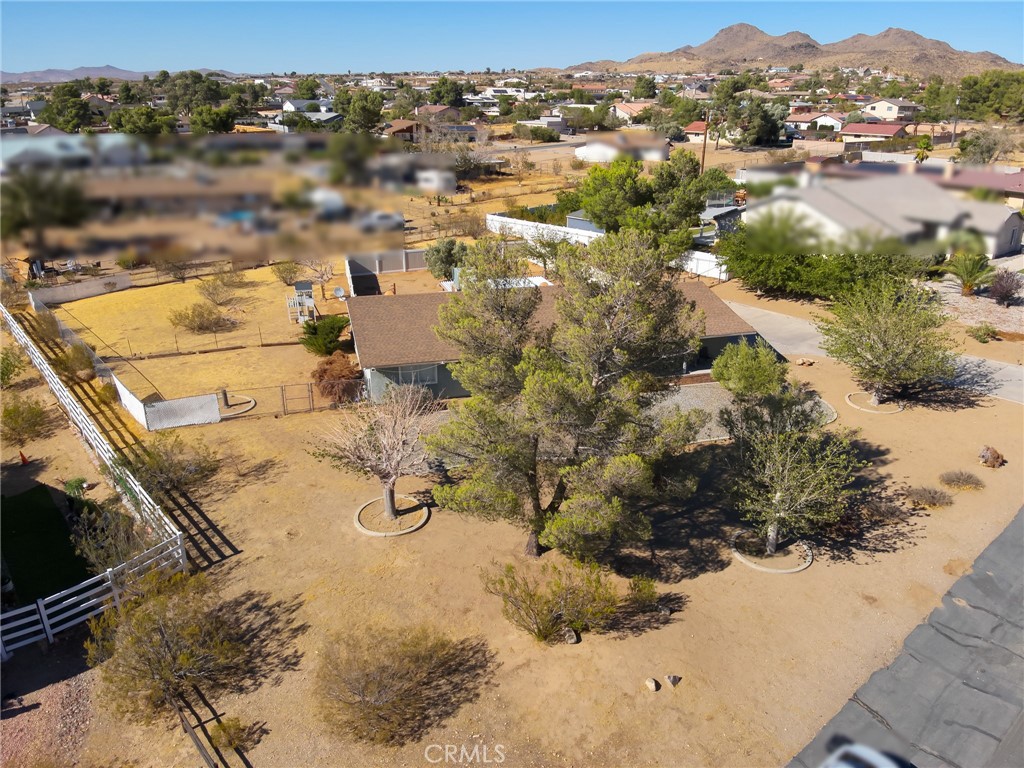 16248 Saint Timothy