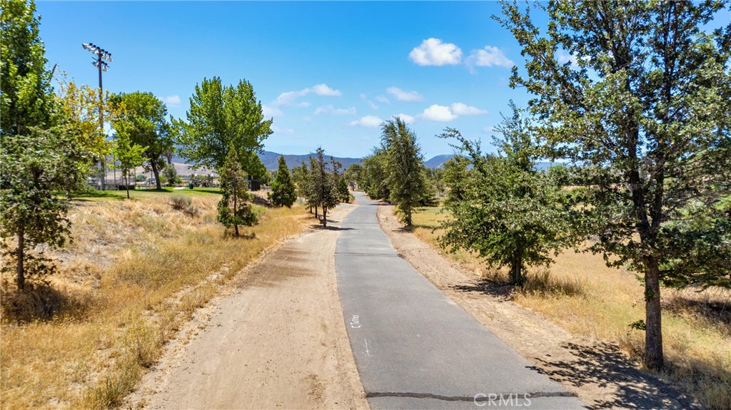 19613 Meadows Road