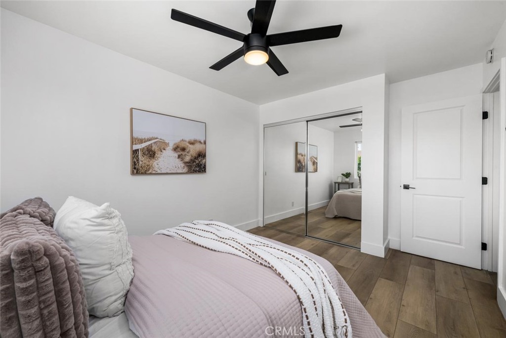 4297 Candleberry