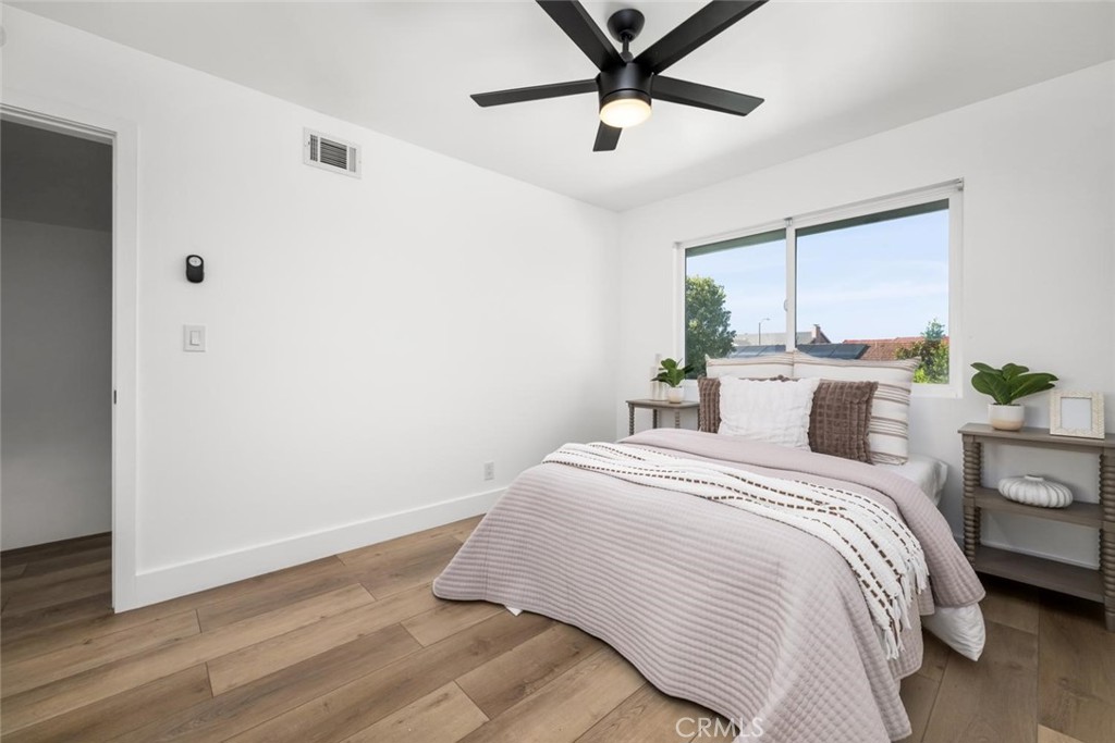 4297 Candleberry