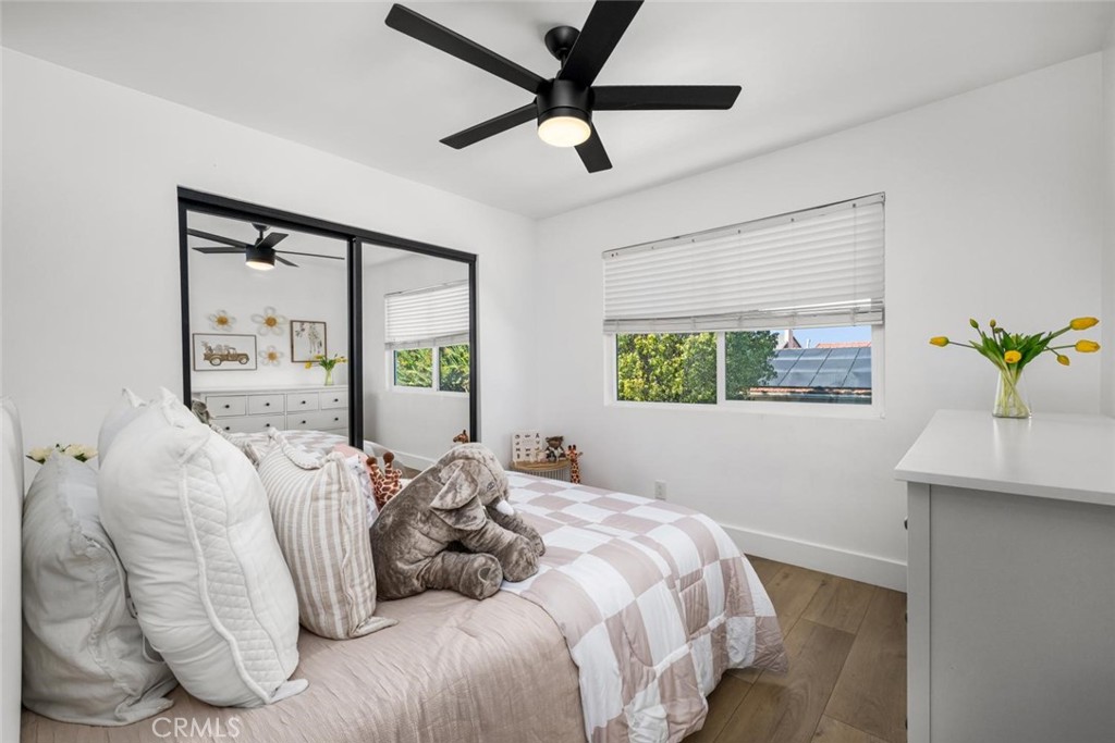 4297 Candleberry