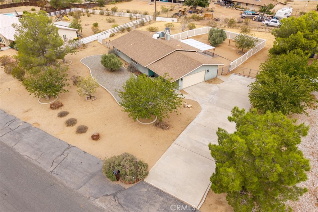 16248 Saint Timothy