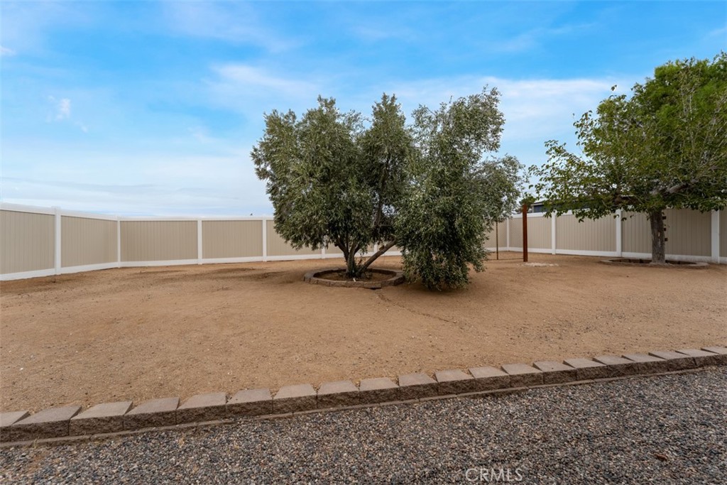 16248 Saint Timothy