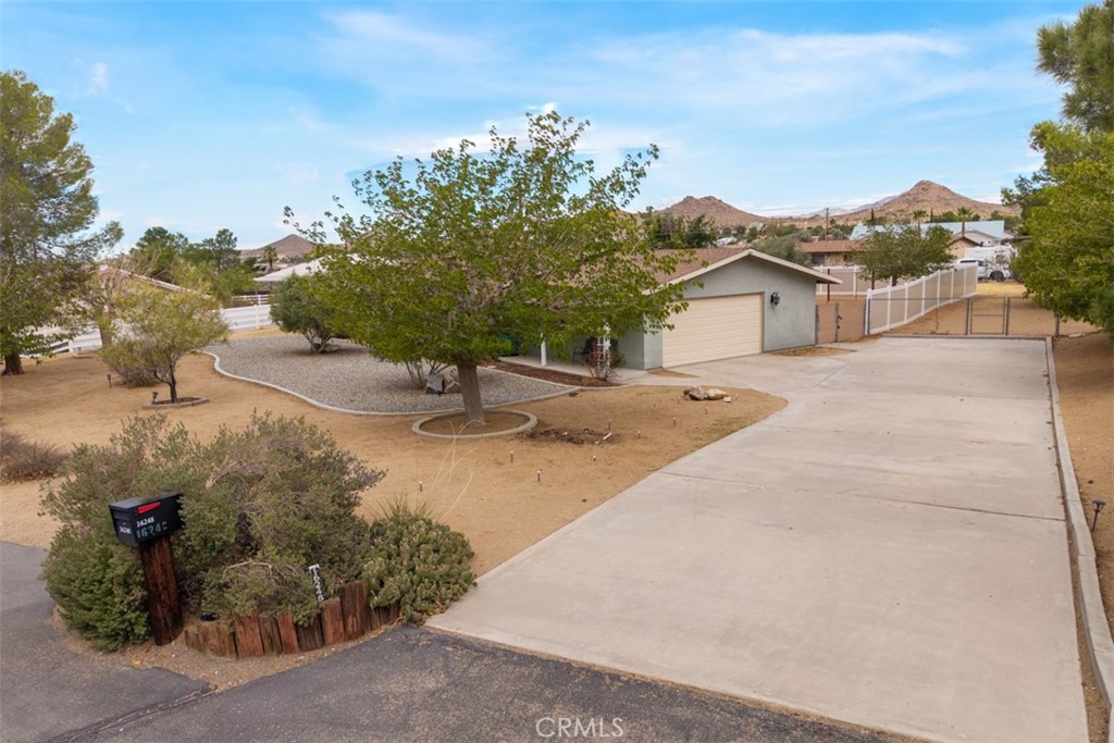 16248 Saint Timothy