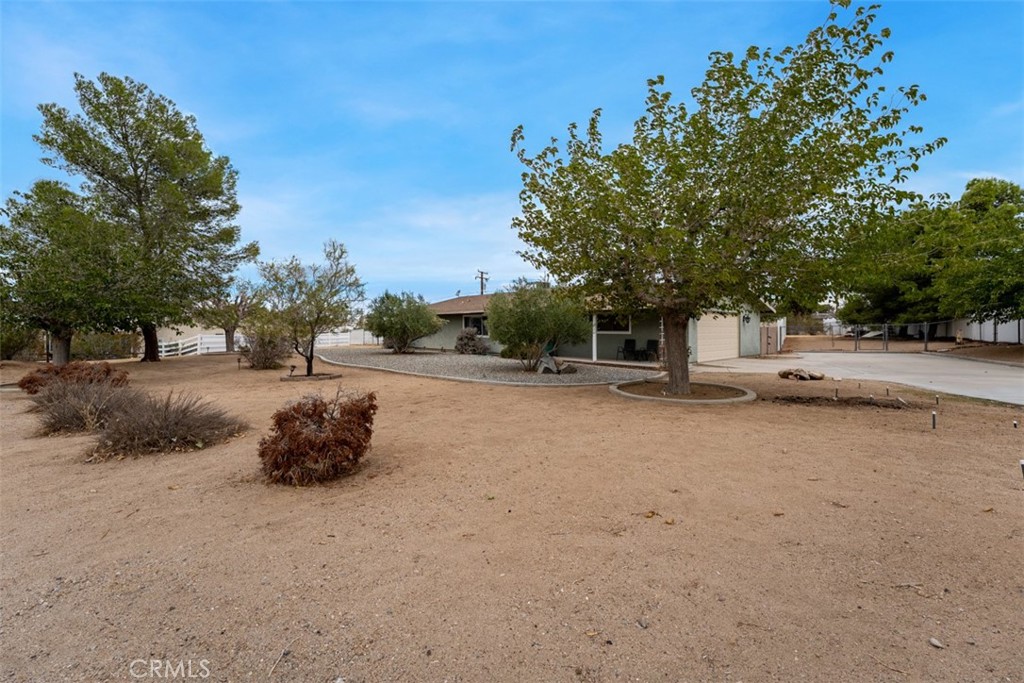 16248 Saint Timothy