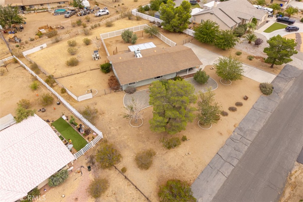 16248 Saint Timothy