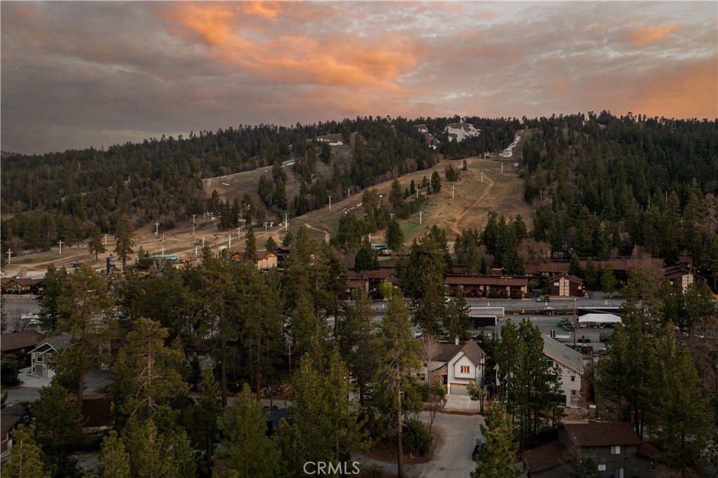 41741 Switzerland Drive