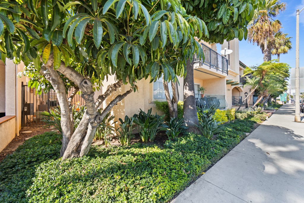 1207 Obispo Avenue 202