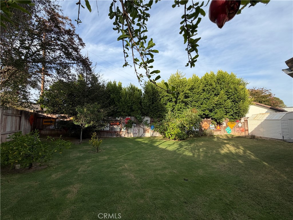 24961 El Caballo